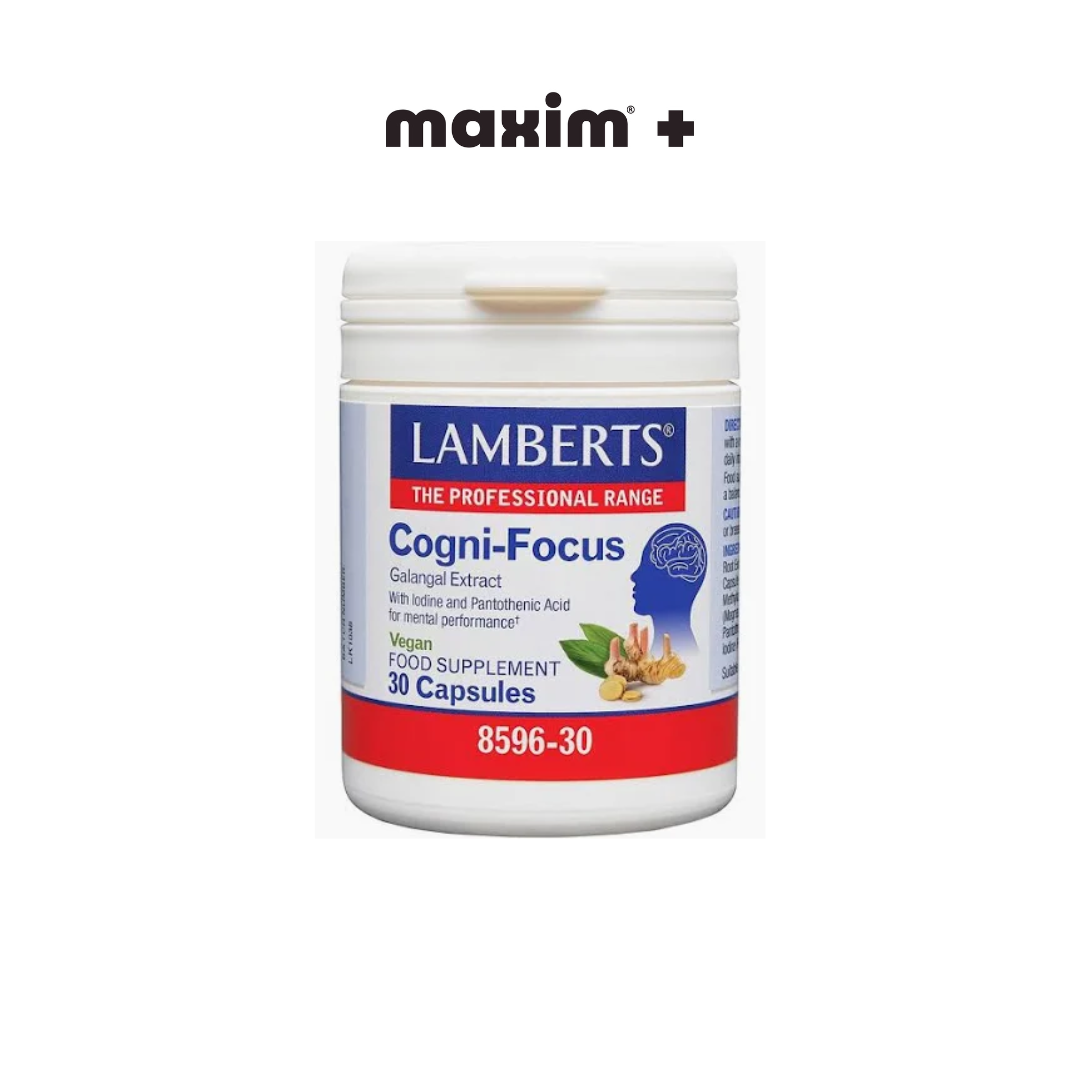 Lamberts Cogni-Focus Galangal Extract, 30 Capsules