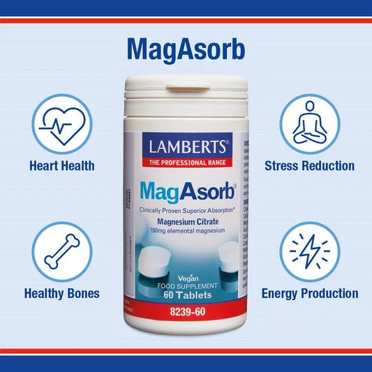Lamberts Magasorb 60 tabs