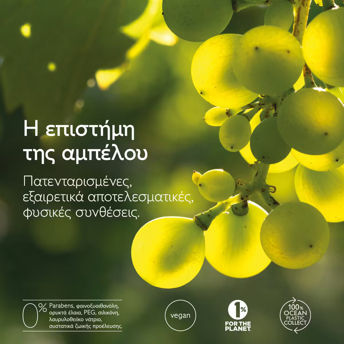 Caudalie Vinopure Moisturizing Mattifying Fluid Ενυδατική Κρέμα για Επιδερμίδες με Τάση Ακμής, 60ml