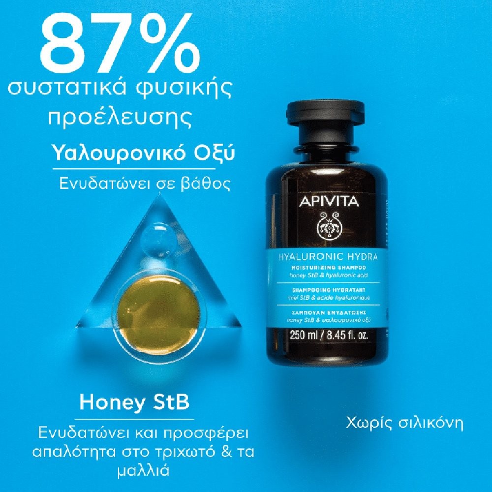 Apivita Promo Hyaluronic Hydra Ενυδατική Περιποίηση Μαλλιών με Σαμπουάν Ενυδάτωσης, 250ml & Κρέμα Μαλλιών για Ενυδάτωση, 100ml
