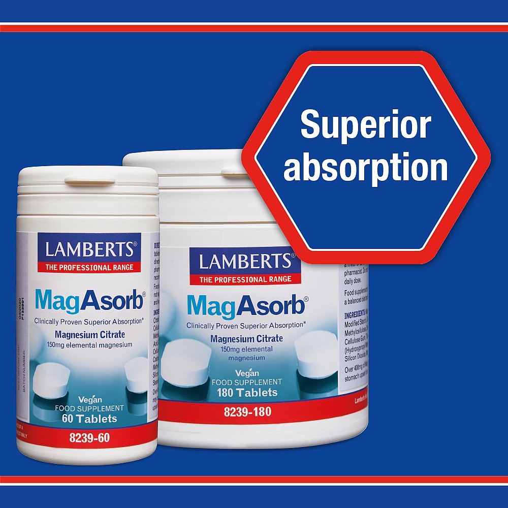 Lamberts Magasorb 60 tabs